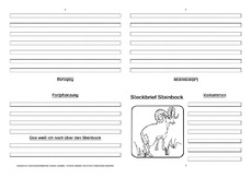 Steinbock-Faltbuch-vierseitig.pdf